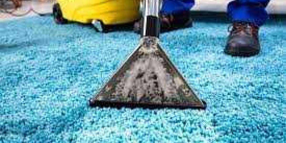 Enhance Your Home Environment with Professional Carpet Cleaning