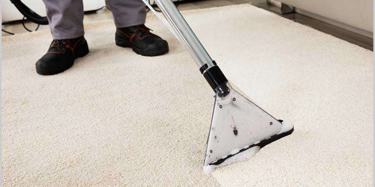 ﻿﻿Why Every Home Should Prioritize Professional Carpet Cleaning