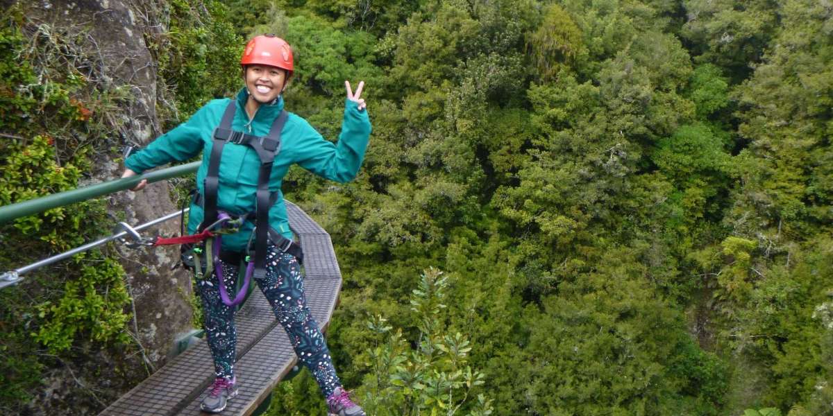 A Thrilling Day Out: What to Expect from Rotorua Zipline Tours