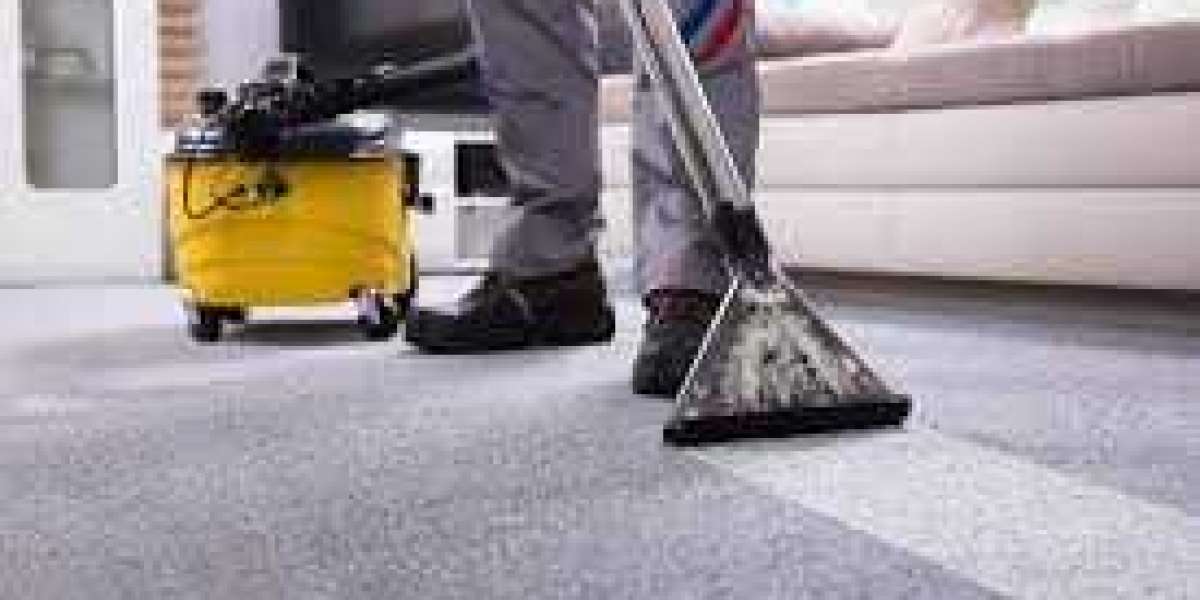 Professional Carpet Cleaning: The Key to a Refined Home Aesthetic