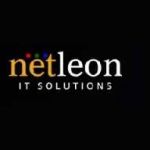 Netleon IT Solution Profile Picture